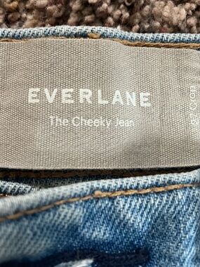 Everlane Light Blue Denim Jeans - The Cheeky 27 Crop